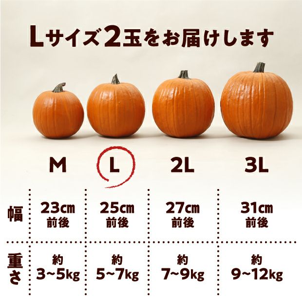 村岡農園 ハロウィンかぼちゃ　Lサイズ　2玉