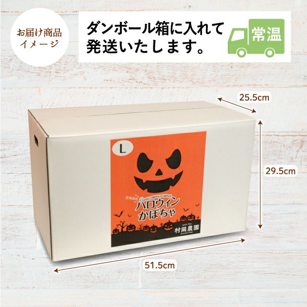 村岡農園 ハロウィンかぼちゃ　Lサイズ　2玉