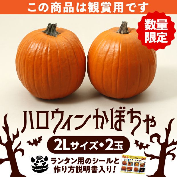 2.Kanさま専用　ハロウィンかぼちゃ本物　特大2個