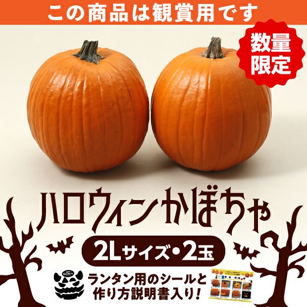 ハロウィンかぼちゃ 2Lサイズ2玉｜食べレア北海道 物産 お取り寄せ