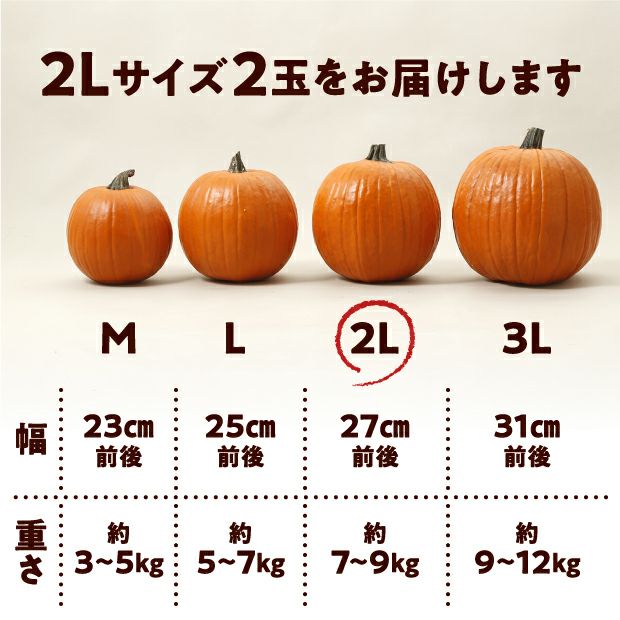 村岡農園 ハロウィンかぼちゃ　2Lサイズ　2玉