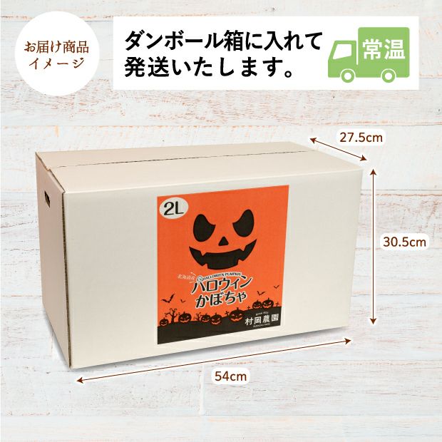 村岡農園 ハロウィンかぼちゃ　2Lサイズ　2玉