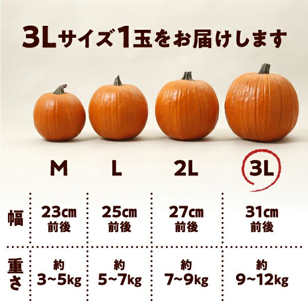 村岡農園 ハロウィンかぼちゃ　3Lサイズ　1玉