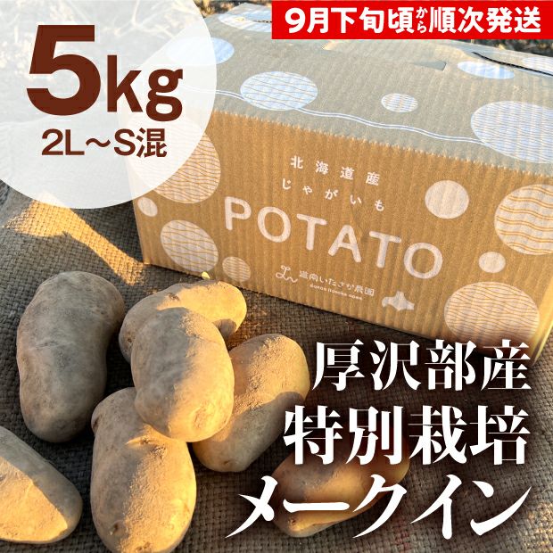 厚沢部産 メークイン（2L～S混） 5kg