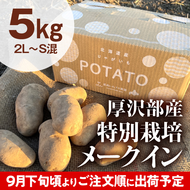 厚沢部産 メークイン（2L～S混） 5kg