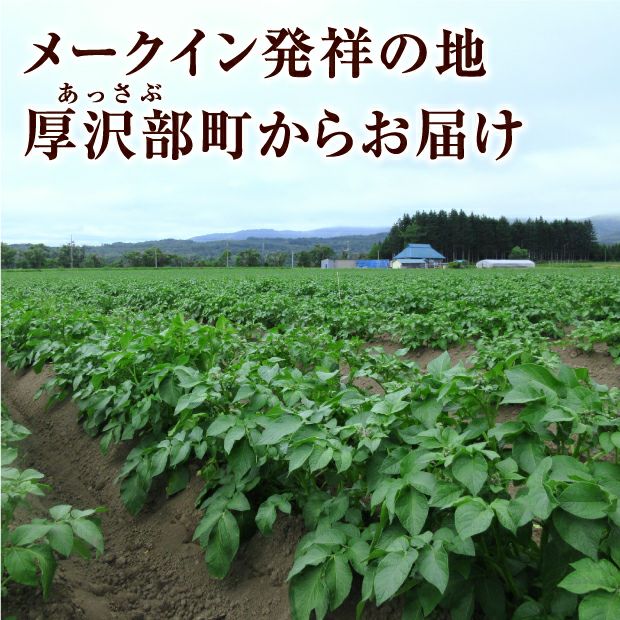 厚沢部産 メークイン（2L～S混） 5kg