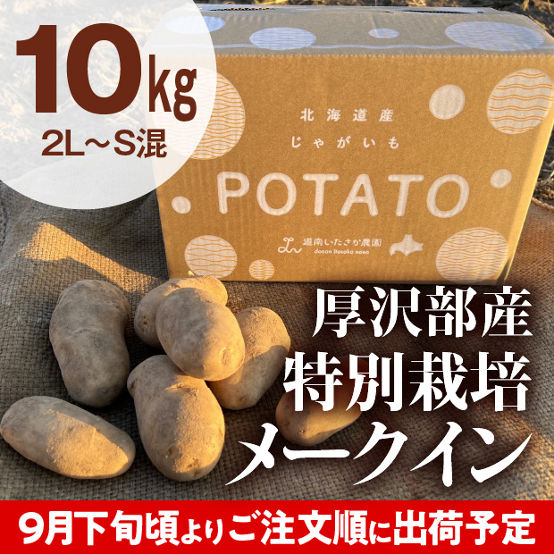 厚沢部産 メークイン（2L～S混） 10kg