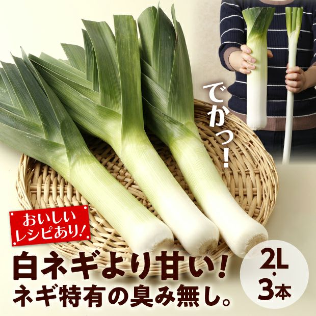 十勝リーキお試しセット