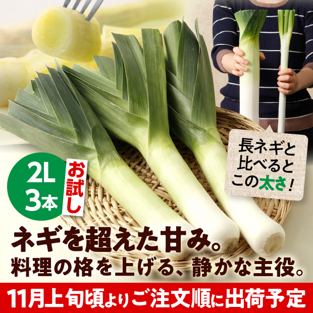 十勝リーキお試しセット
