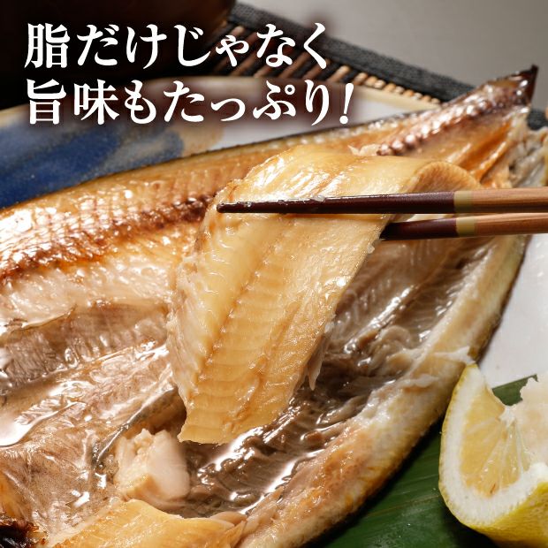 特大真ほっけ 北海道 海鮮｜食べレア北海道 物産 お取り寄せ