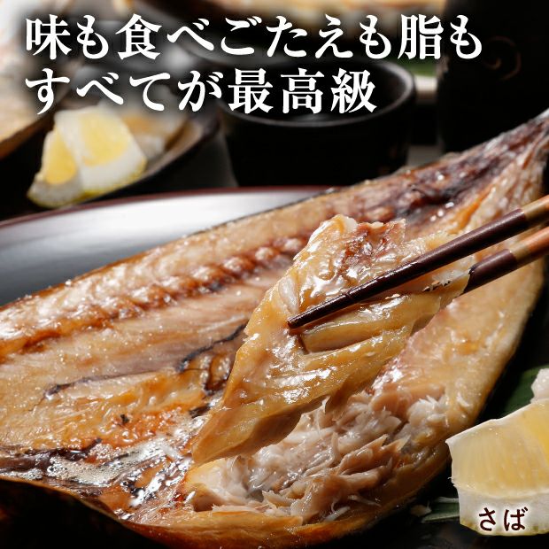 能本水産 干物セット