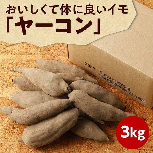 化学肥料 農薬不使用 北海道産ヤーコン 3kg 食べレア北海道 北海道の物産の レア な魅力を全国に発信する通販サイト