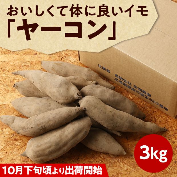 【化学肥料・農薬不使用】北海道産ヤーコン 3kg