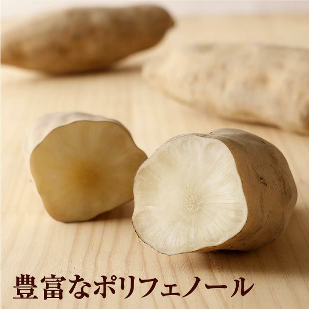 【化学肥料・農薬不使用】北海道産ヤーコン 3kg