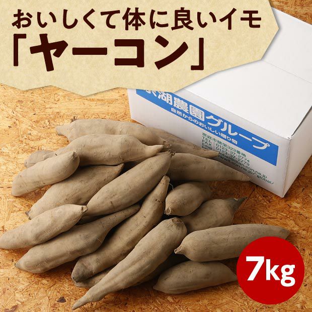 食品/飲料/酒ヤーコン 約1.3kg(箱込) 茨城県産 栽培期間中農薬不使用 お試し - www ... 野菜