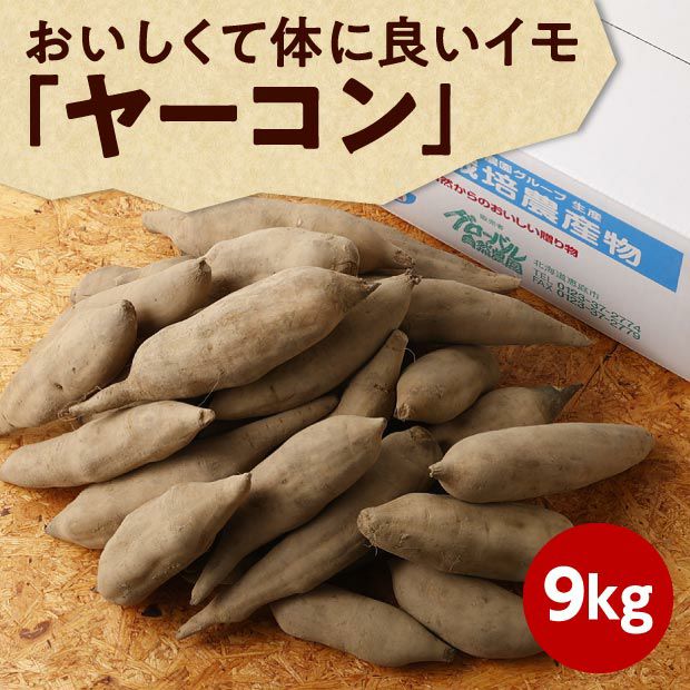化学肥料・農薬不使用】北海道産ヤーコン 9kg