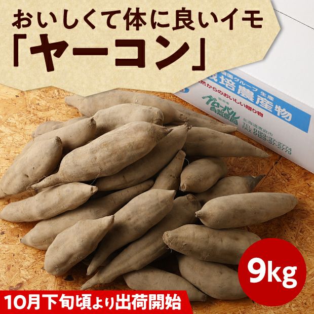 化学肥料・農薬不使用】北海道産ヤーコン 9kg