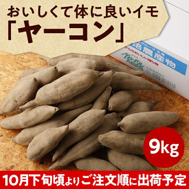 化学肥料・農薬不使用】北海道産ヤーコン 9kg