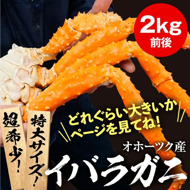 オホーツク産イバラガ二2㎏ 根室 マルナカイチ杉山水産｜海鮮 カニ｜食べレア北海道 物産 お取り寄せ