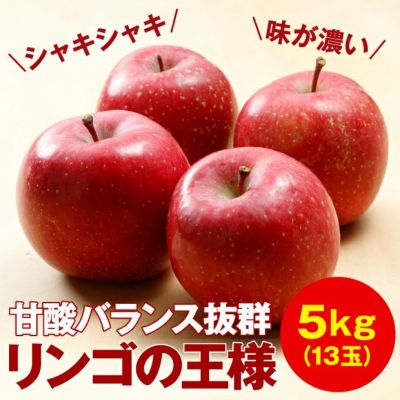 限定】仁木町産 ふじリンゴ 5kg 後志 もくぼ観光果樹園｜果物