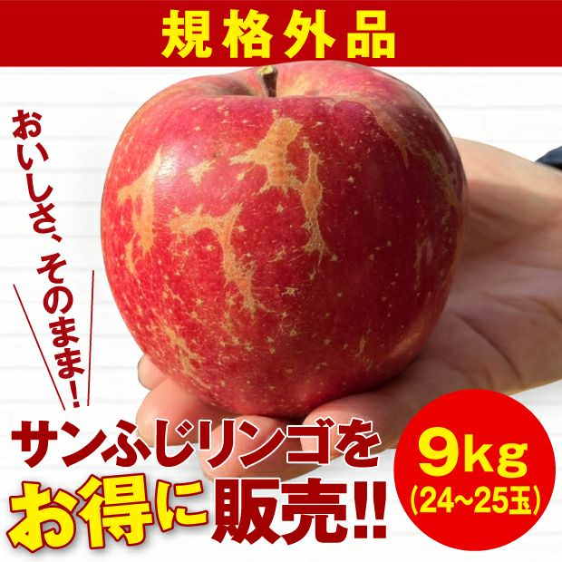 限定】仁木町産ふじリンゴ規格外9kg 後志 もくぼ果樹園｜果物｜食べ