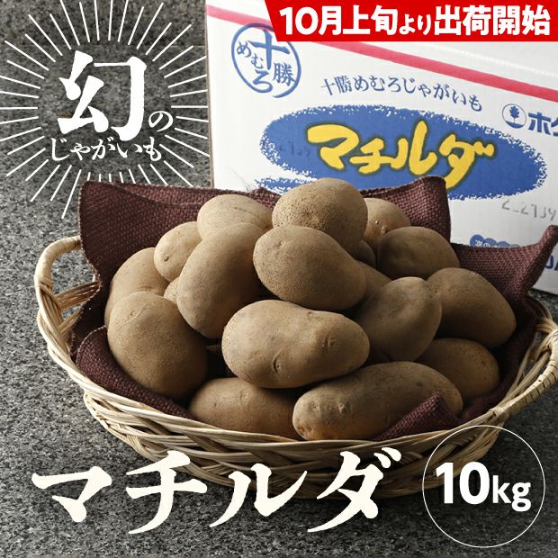 JAめむろ マチルダLサイズ 10kg