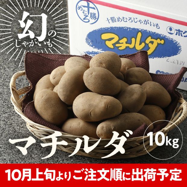 JAめむろ マチルダLサイズ 10kg