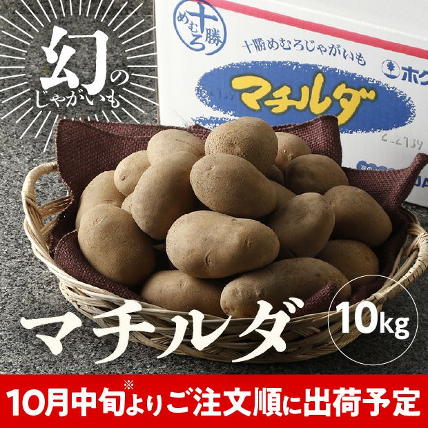 JAめむろ マチルダLサイズ 10kg