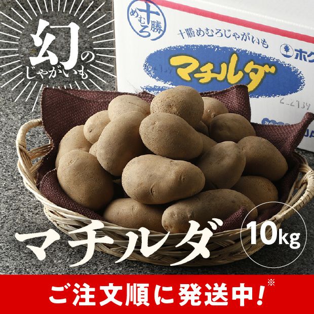 JAめむろ マチルダLサイズ 10kg