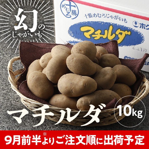 JAめむろ マチルダLサイズ 10kg
