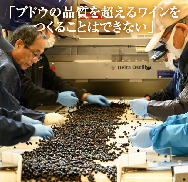 畑ごとのワイン赤ワイン 山幸～KIKUCHI HIDEKI