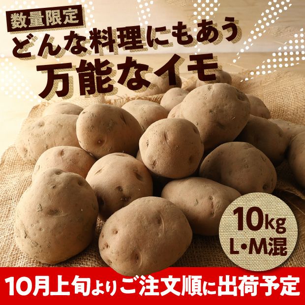【数量限定】十勝・芽室産じゃがいも「さやあかね」