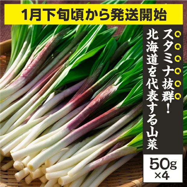 十勝産 行者にんにく200g 十勝 村瀬ファーム｜野菜｜食べレア北海道 物産 お取り寄せ