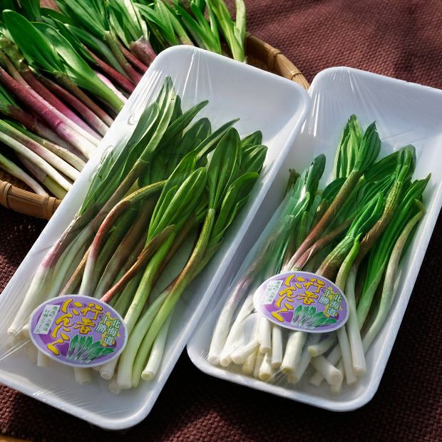 十勝産 行者にんにく200g 十勝 村瀬ファーム｜野菜｜食べレア北海道 物産 お取り寄せ