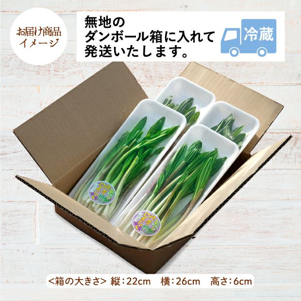 行者にんにくのお届け商品イメージ