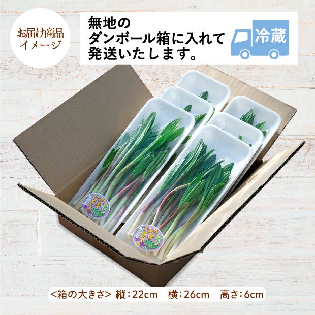 行者にんにくのお届け商品イメージ