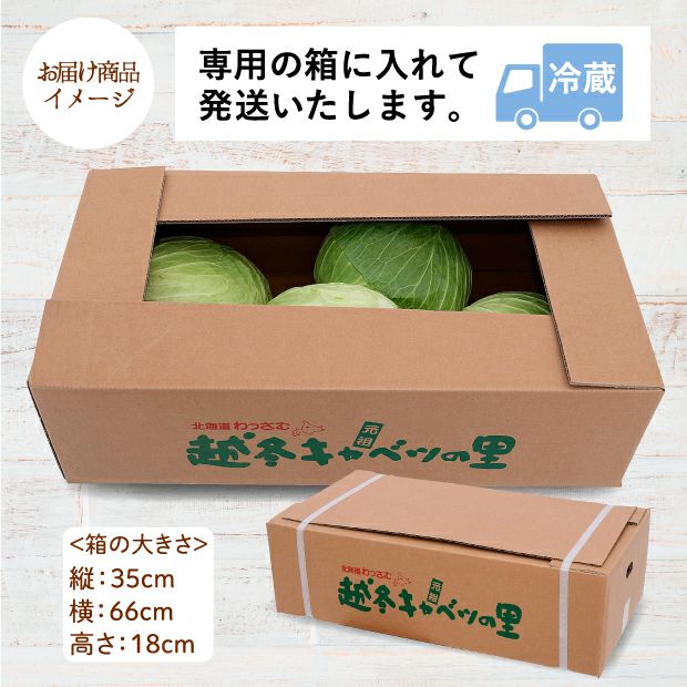 雪の下キャベツのお届け商品イメージ