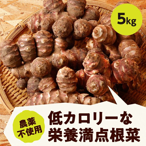北海道産 菊芋（きくいも） 5kg