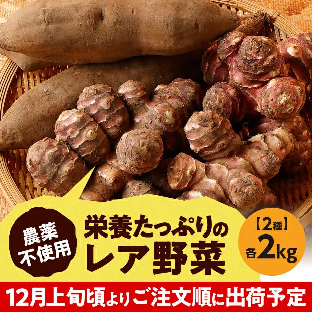 サツマイモのような見た目のヤーコンと生姜のような見た目の菊芋