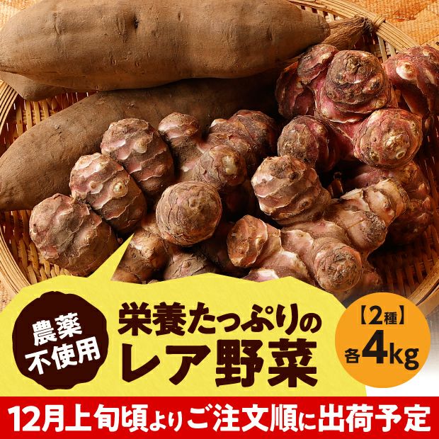 サツマイモのような見た目のヤーコンと生姜のような見た目の菊芋