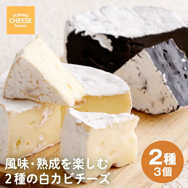 チーズ 購入 1216 バラエティBOX6種類 チーズ職人おすすめ！ KN087-003 - 鹿児島県