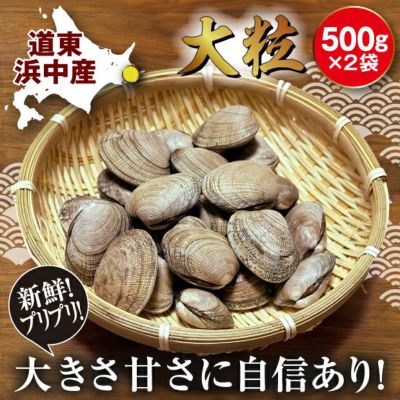 浜中産 活あさり 500g×2袋｜ 釧路 ヤママル富士｜海鮮｜貝｜食べレア北海道 物産 お取り寄せ