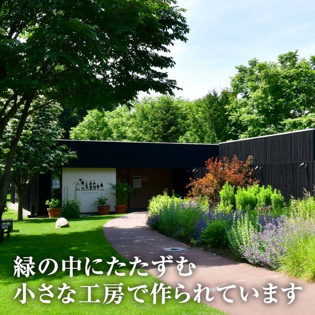 トテッポサブレ（発酵バター、ショコラ＆ベリー）