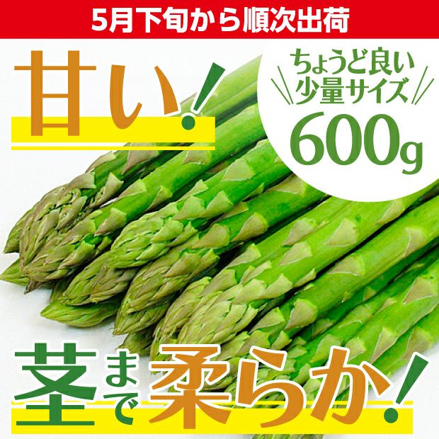 グリーンアスパラ《小分け》600g 上川 キョクイチ｜アスパラ｜食べレア