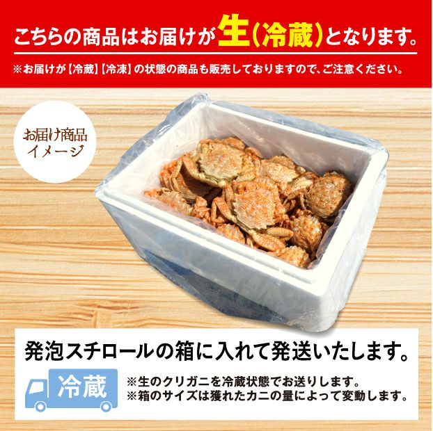 １口オーナー権】クリガニかご漁（生・冷蔵発送）｜海鮮 カニ｜食べレア北海道 通販 物産 お取り寄せ