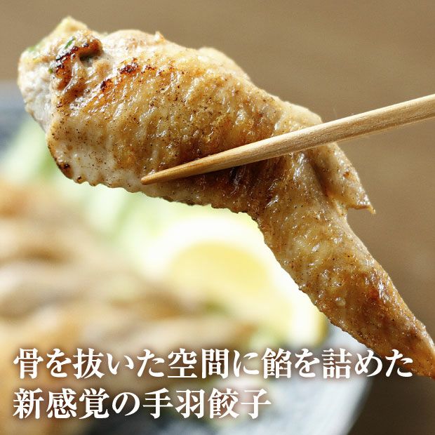 北の匠 肉巻き餃子・手羽餃子 2種セット