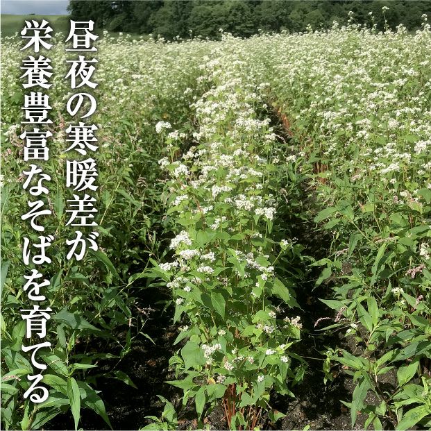 殻ごと焙煎そばの茶（2袋）