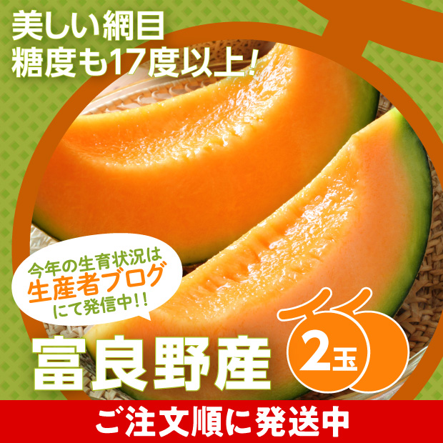 熟してとても美味しそうな赤肉メロン