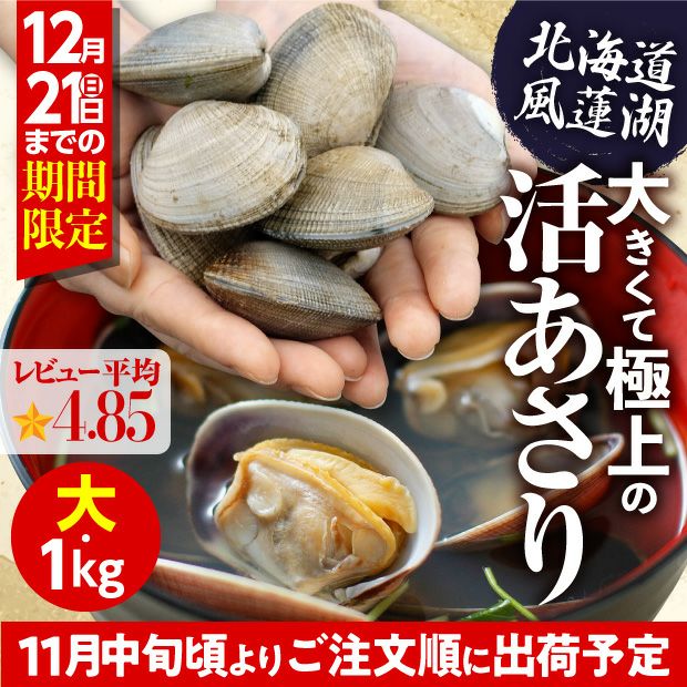 別海産　活あさり(大サイズ)　1㎏
