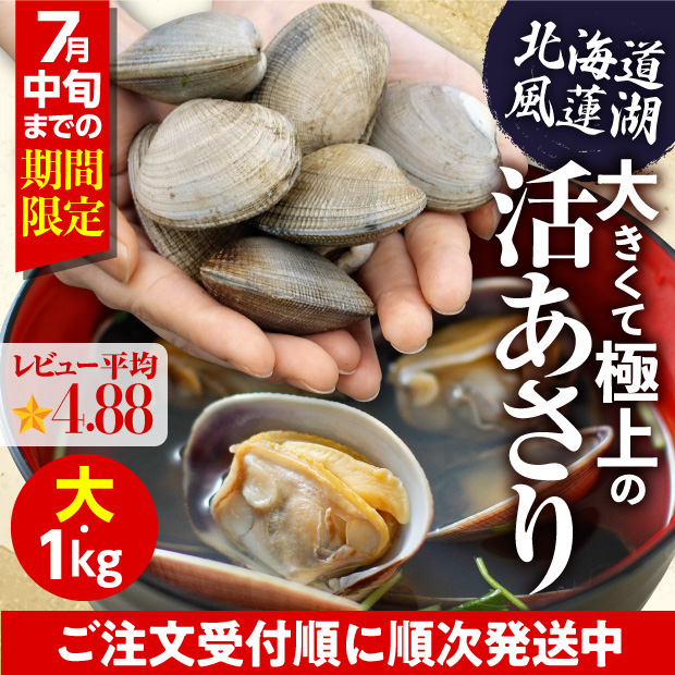 別海産　活あさり(大サイズ)　1㎏